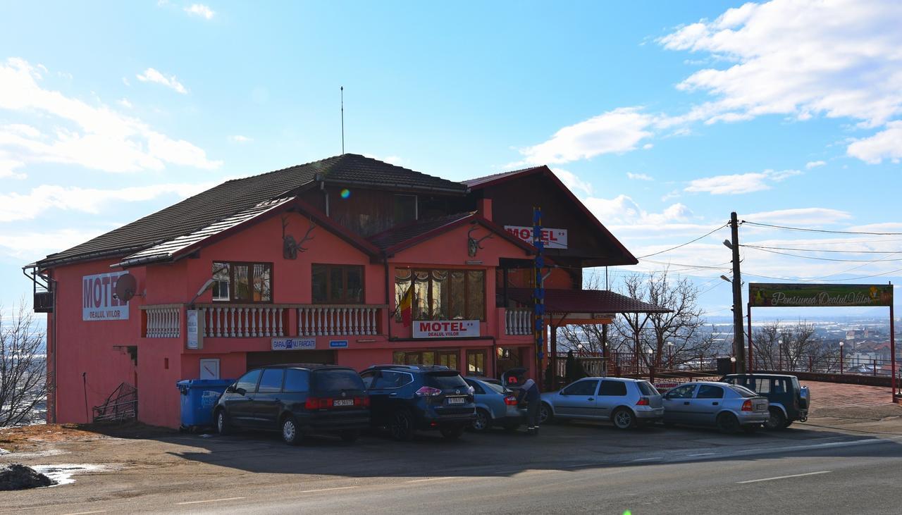 Pensiunea Dealul Viilor Deva Exterior photo